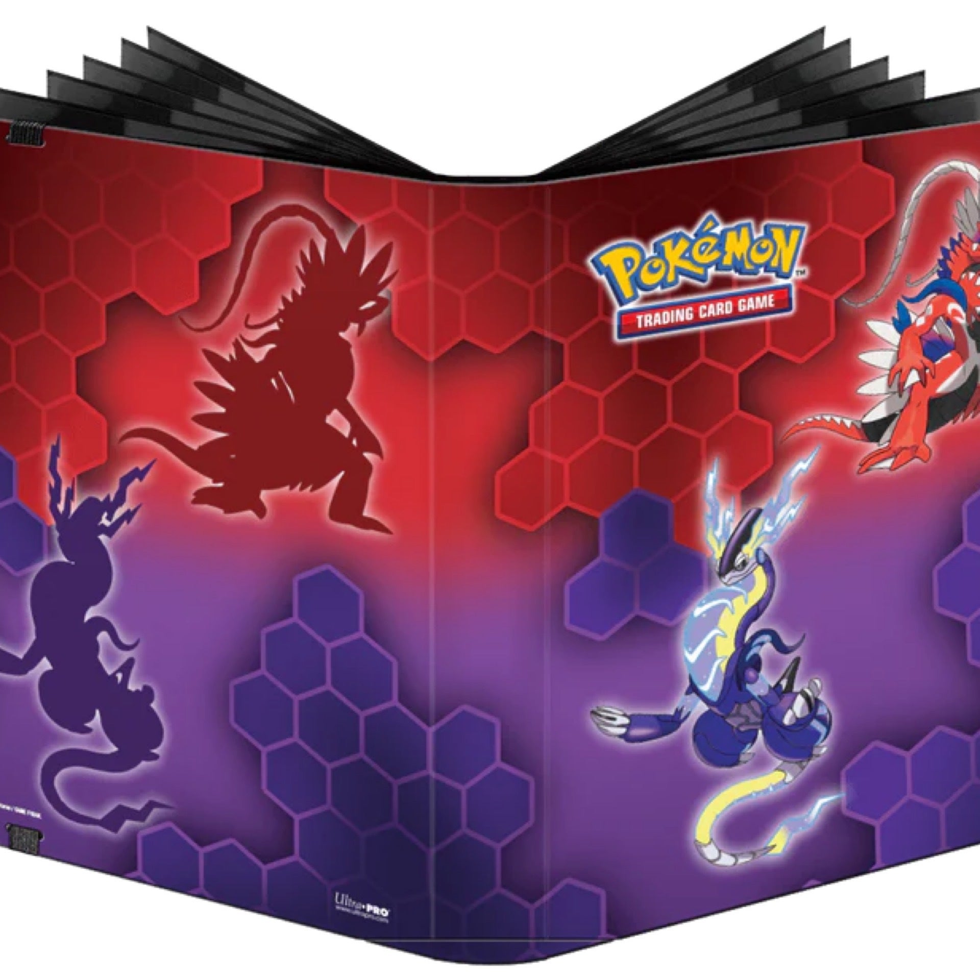 Ultra Pro Portfolio Koraidon/Miraidon TNT SPORTS CARDS AND HOBBY